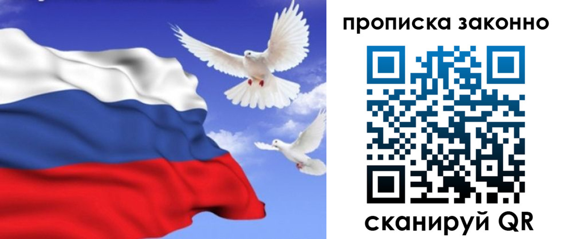 прописка в Палласовке