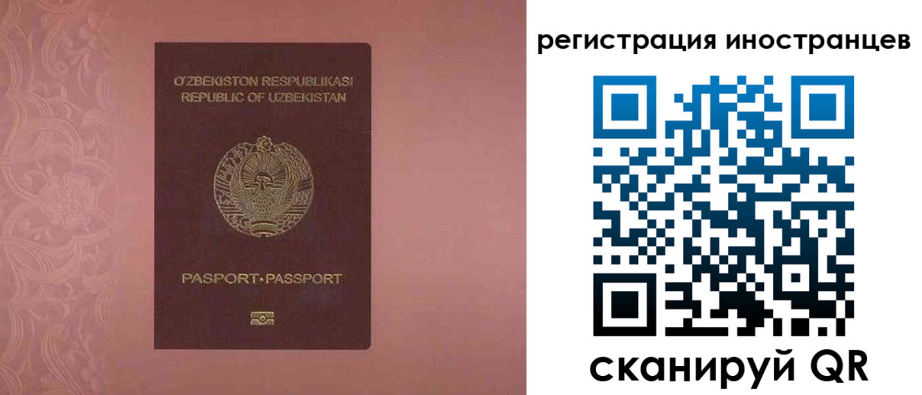 временная регистрация госуслуги в Палласовке
